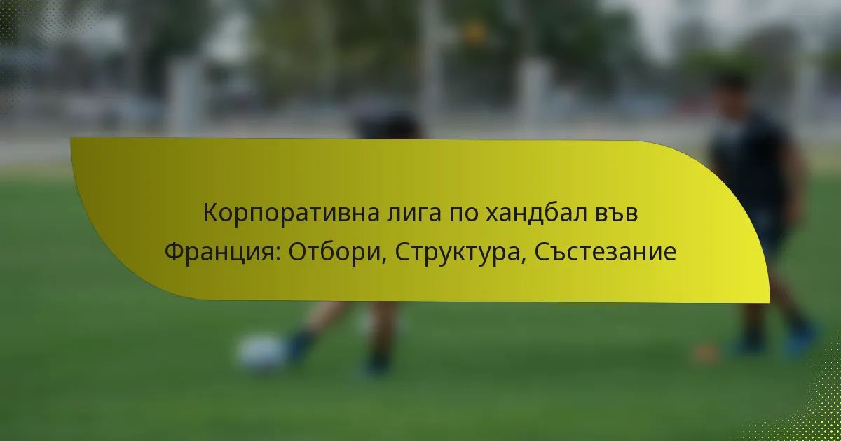 Корпоративна лига по хандбал във Франция: Отбори, Структура, Състезание
