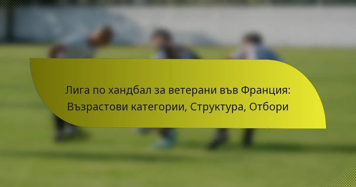 Лига по хандбал за ветерани във Франция: Възрастови категории, Структура, Отбори
