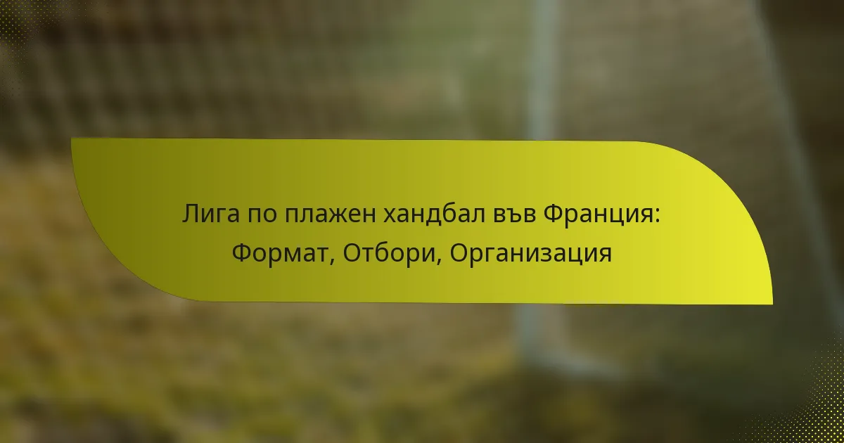 Лига по плажен хандбал във Франция: Формат, Отбори, Организация