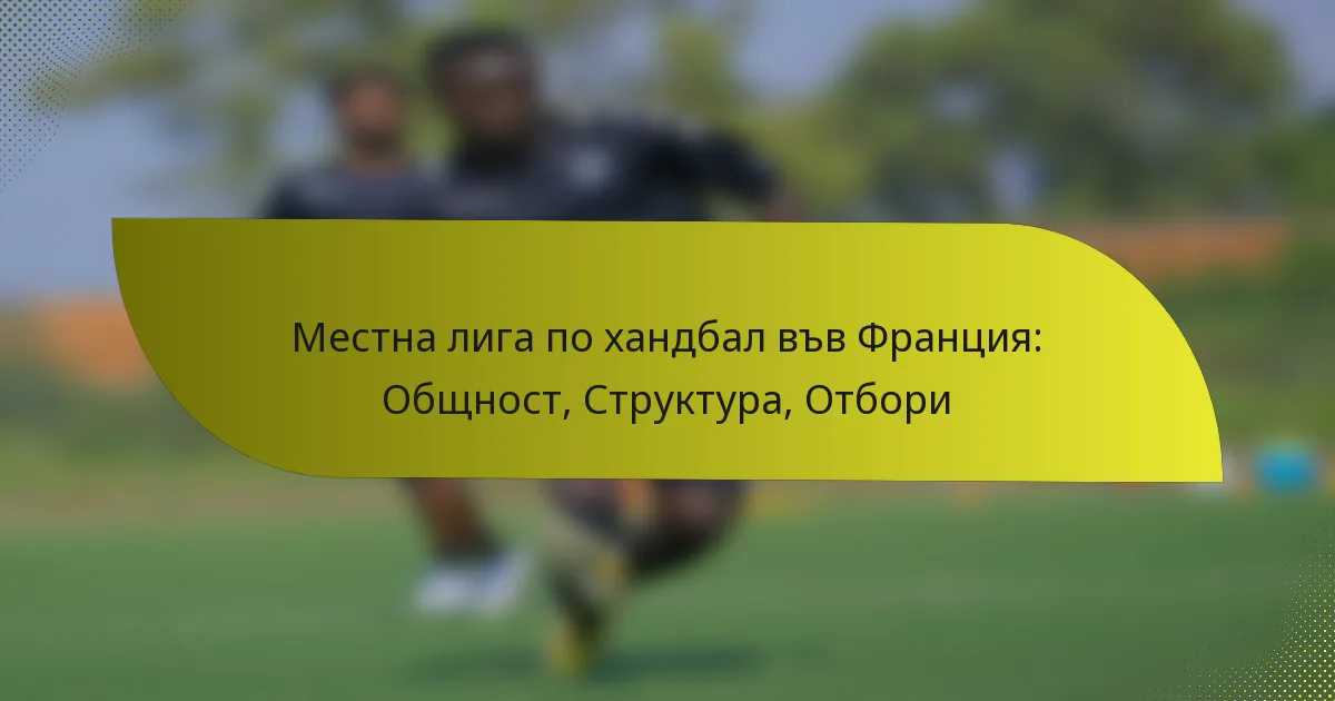 Местна лига по хандбал във Франция: Общност, Структура, Отбори
