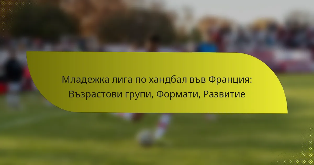 Младежка лига по хандбал във Франция: Възрастови групи, Формати, Развитие