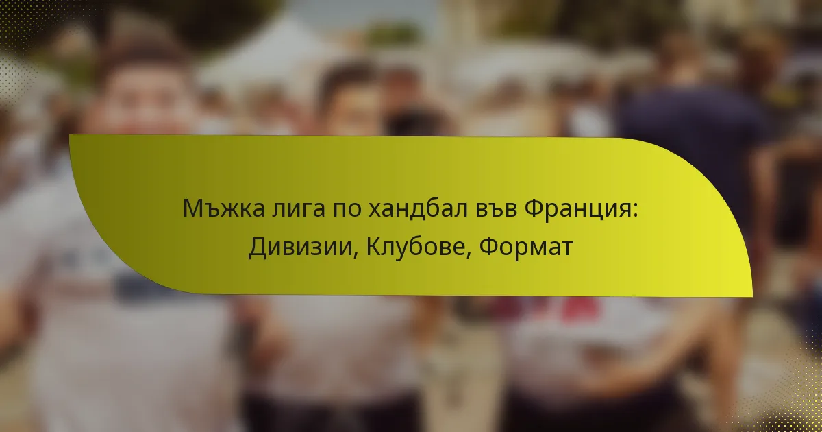 Мъжка лига по хандбал във Франция: Дивизии, Клубове, Формат