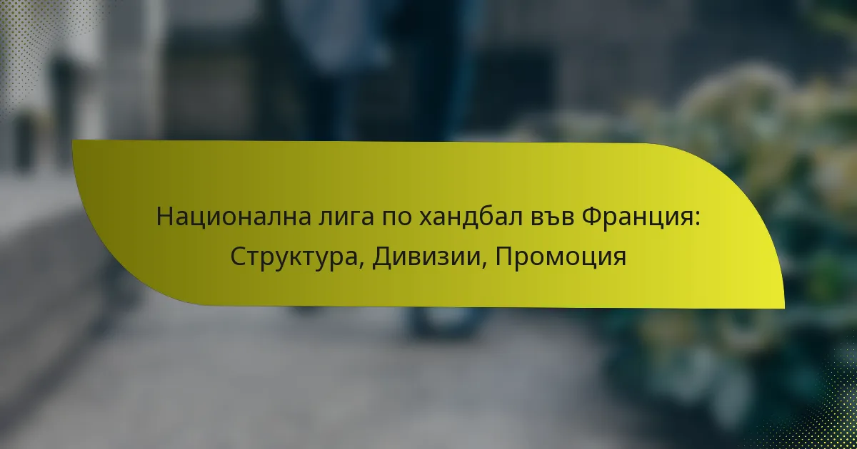 Национална лига по хандбал във Франция: Структура, Дивизии, Промоция