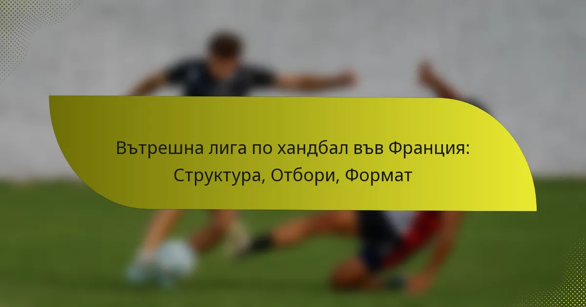 Вътрешна лига по хандбал във Франция: Структура, Отбори, Формат