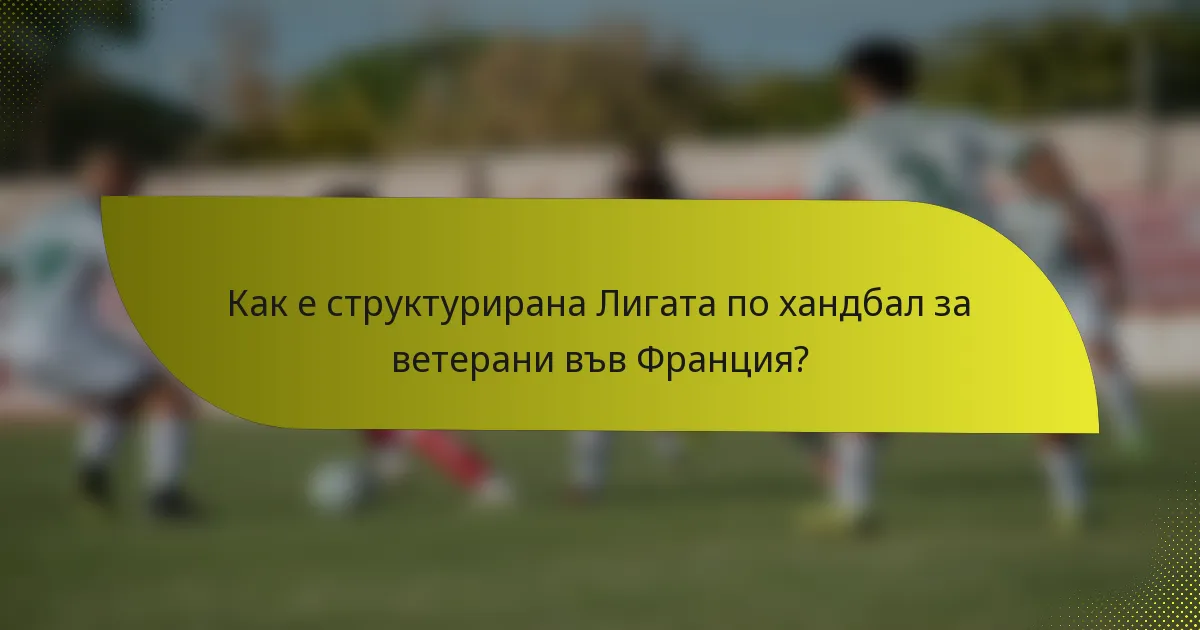 Как е структурирана Лигата по хандбал за ветерани във Франция?