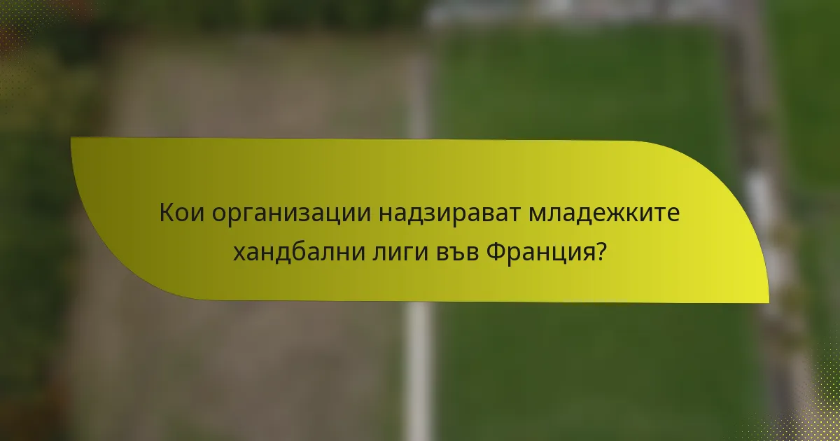 Кои организации надзирават младежките хандбални лиги във Франция?